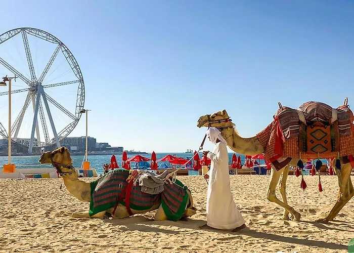 Royal Oceanic In Jbr By Happy Season