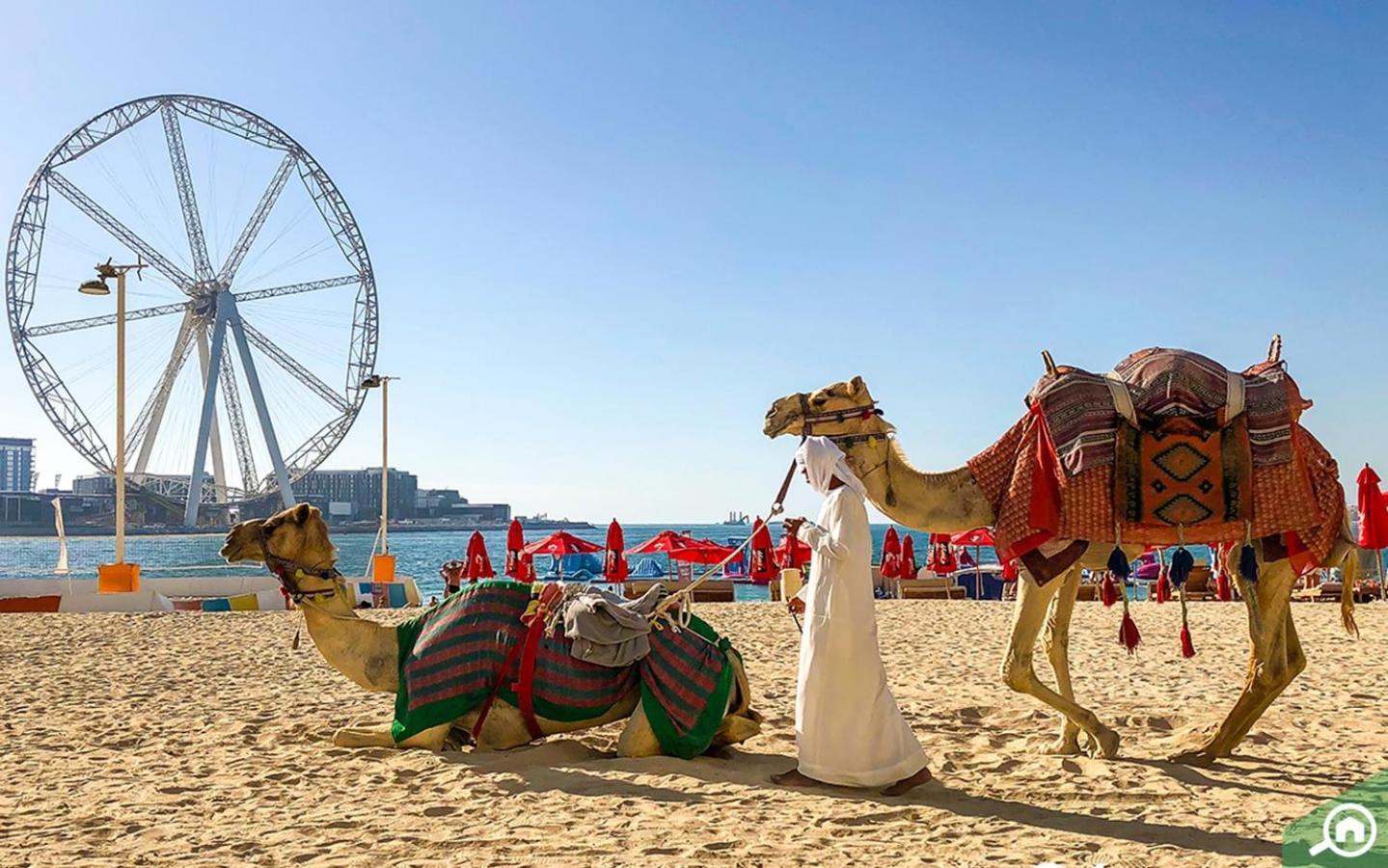 Apartment Royal Oceanic In Jbr By Happy Season *
